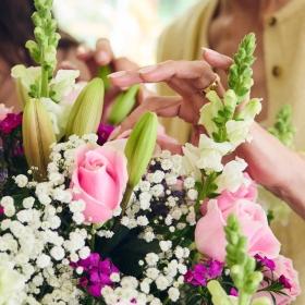 Header navigation sub menu