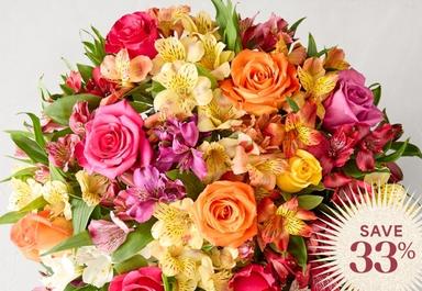 Header navigation sub menu